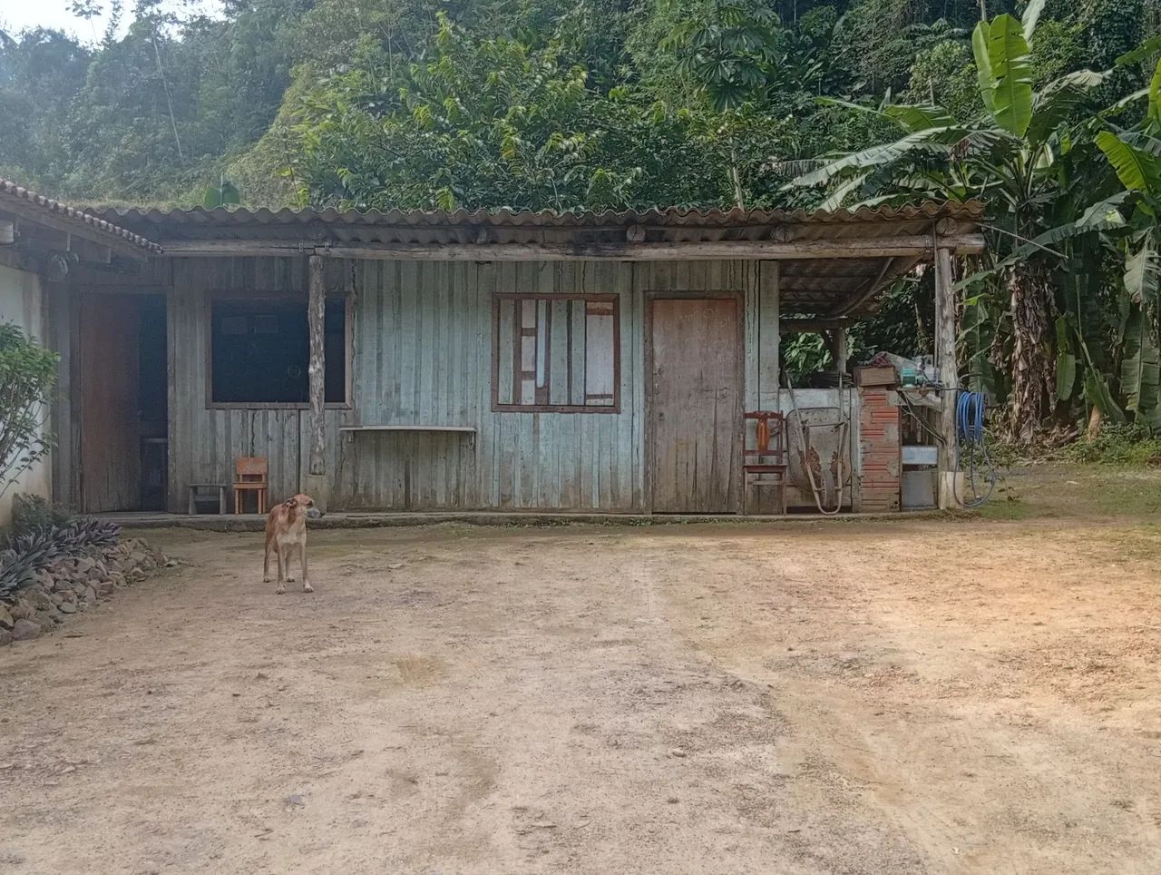 Sítio barato  - Foto 5