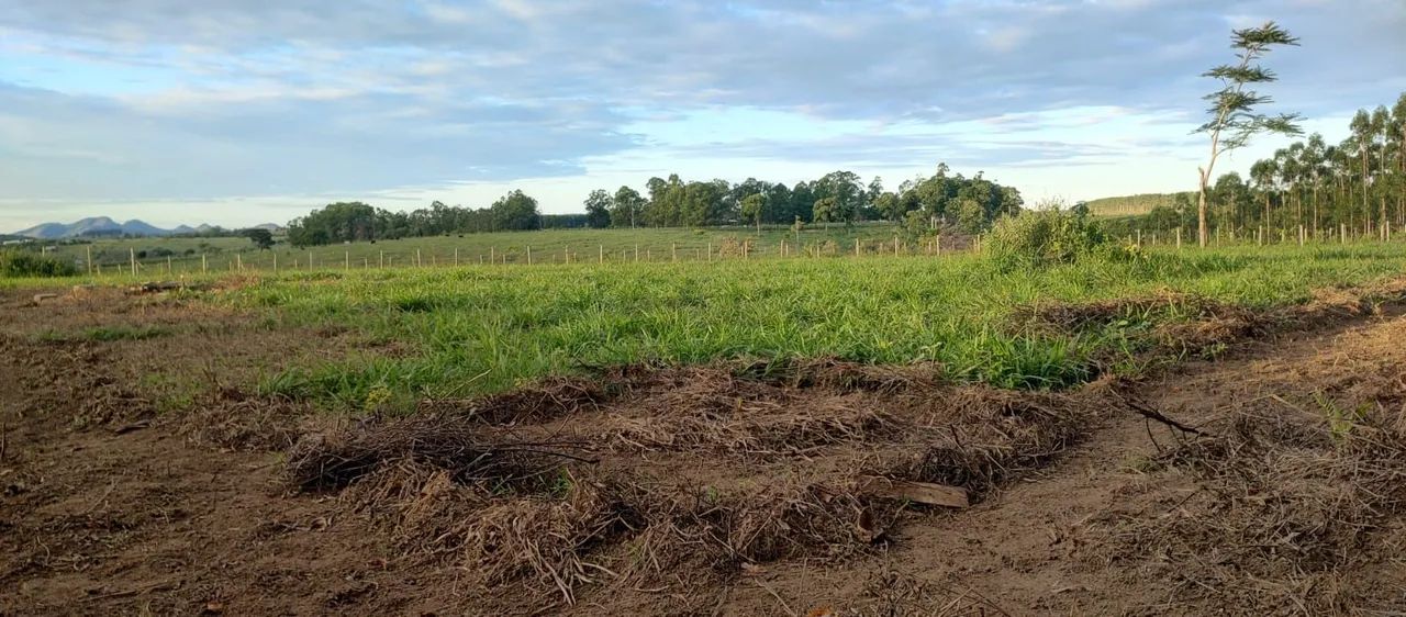 Chácara 4.000 metros em Aracruz  - Foto 4