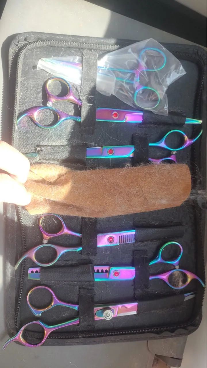 Equipamentos banho e tosa