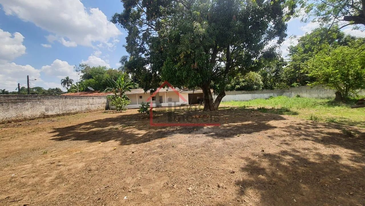 chácara - Vila Hollândia - Campinas - Foto 4