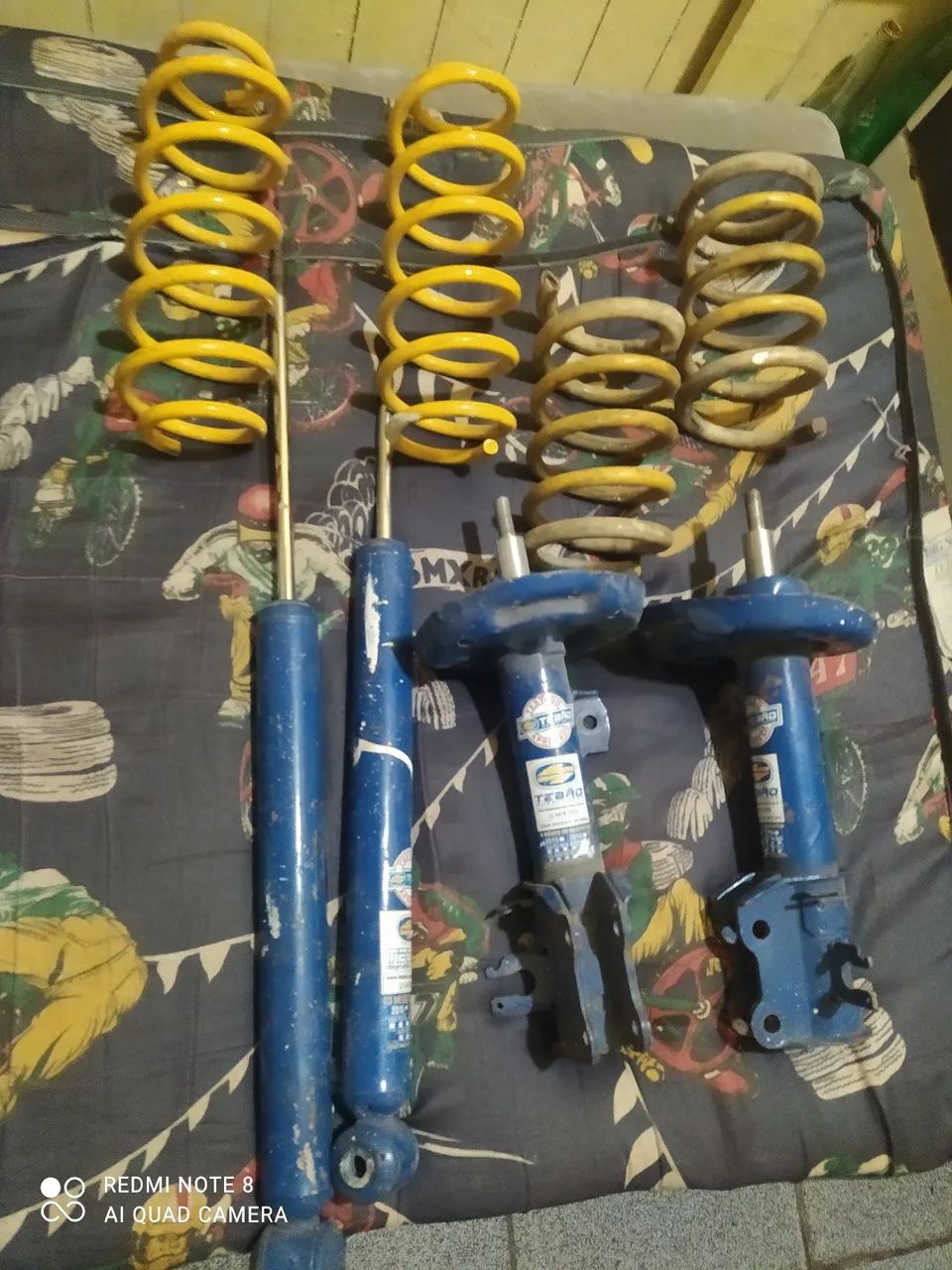Mola fixa