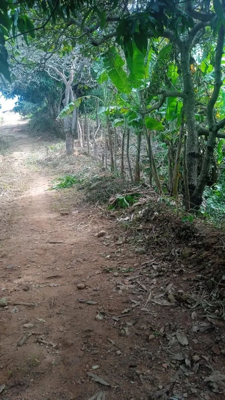Sítio  - Foto 3