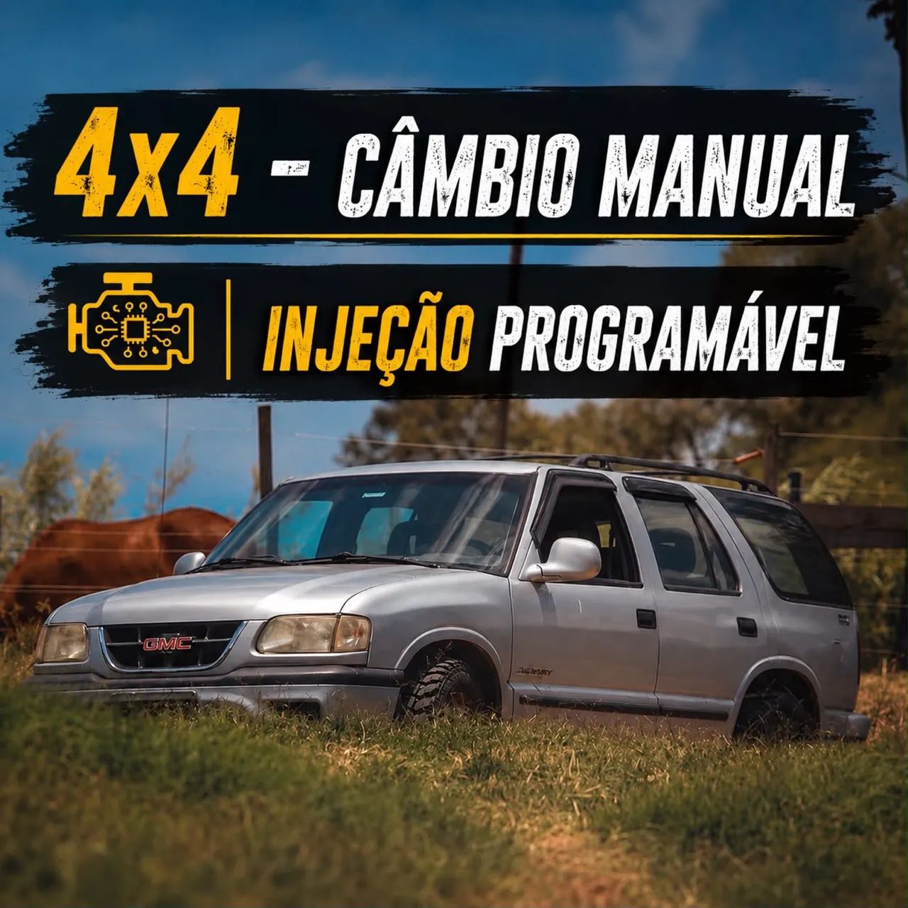 Chevrolet S10 S10 Blazer DLX 4.3 V6 1999