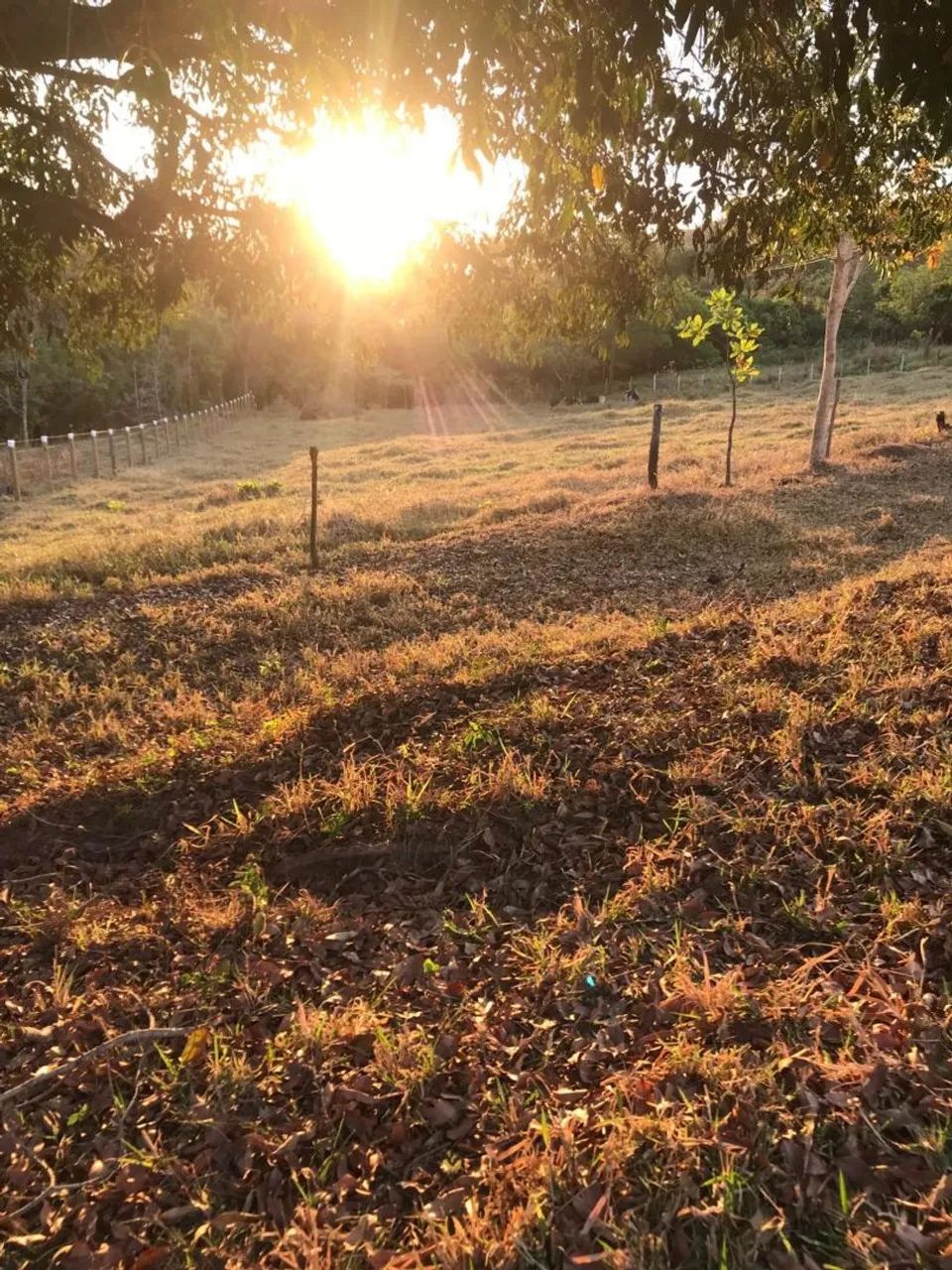 Vendo Terreno em Pirenópolis  - Foto 5