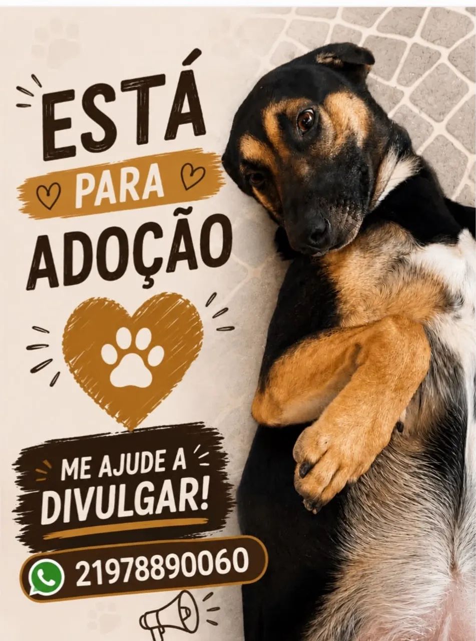 Estou doando esse cachorrinho.. - Foto 3