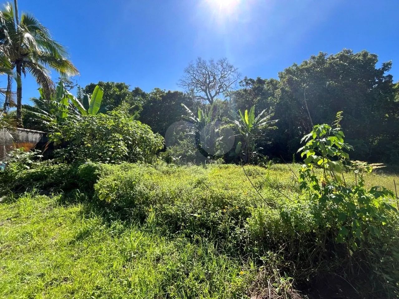 Terreno à venda em Morada da praia - SP - Foto 2