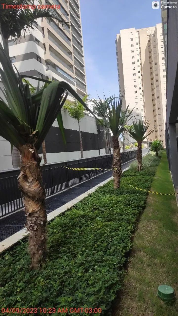 Paisagismo e jardinagem * - Foto 4