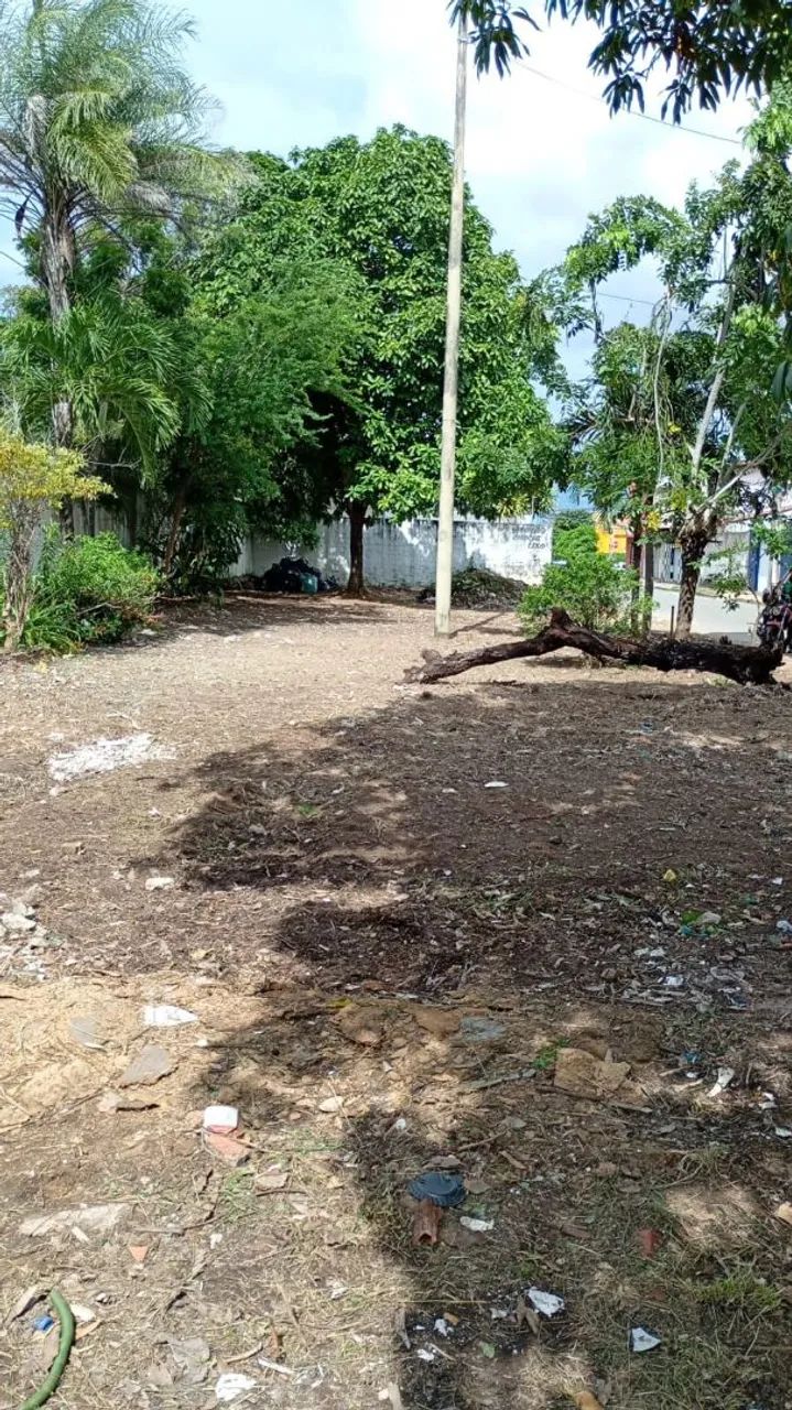 Roço de terrenos sítios chácara etc  - Foto 4
