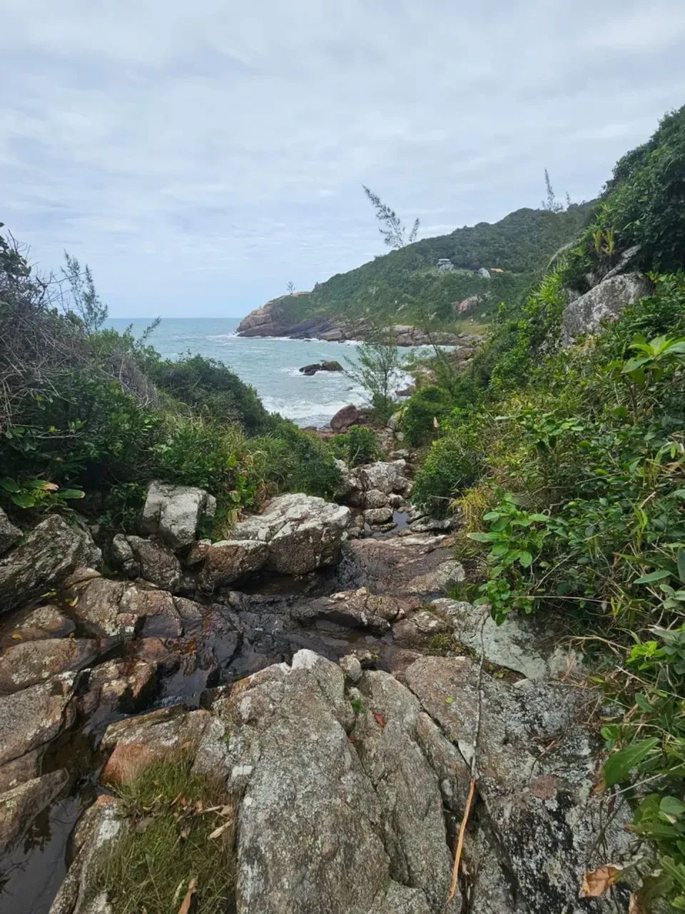 Imóvel para venda com 5200 metros quadrados com 1 quarto em Ferrugem - Garopaba - SC - Foto 3