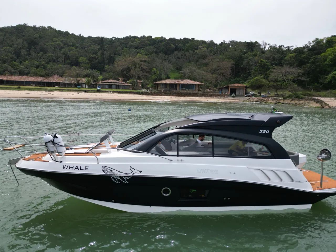 Triton 350 HT - 2022 x2 Mercruiser 250 HP ñ Focker Phantom Sessa Real Sedna Fs Focker 