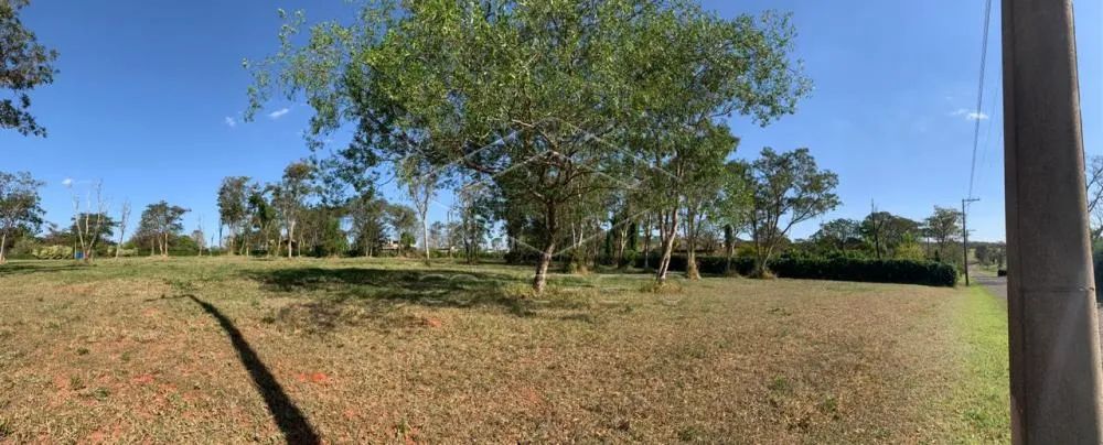 Lote excelente no PALMAS DEL REY! - Foto 2