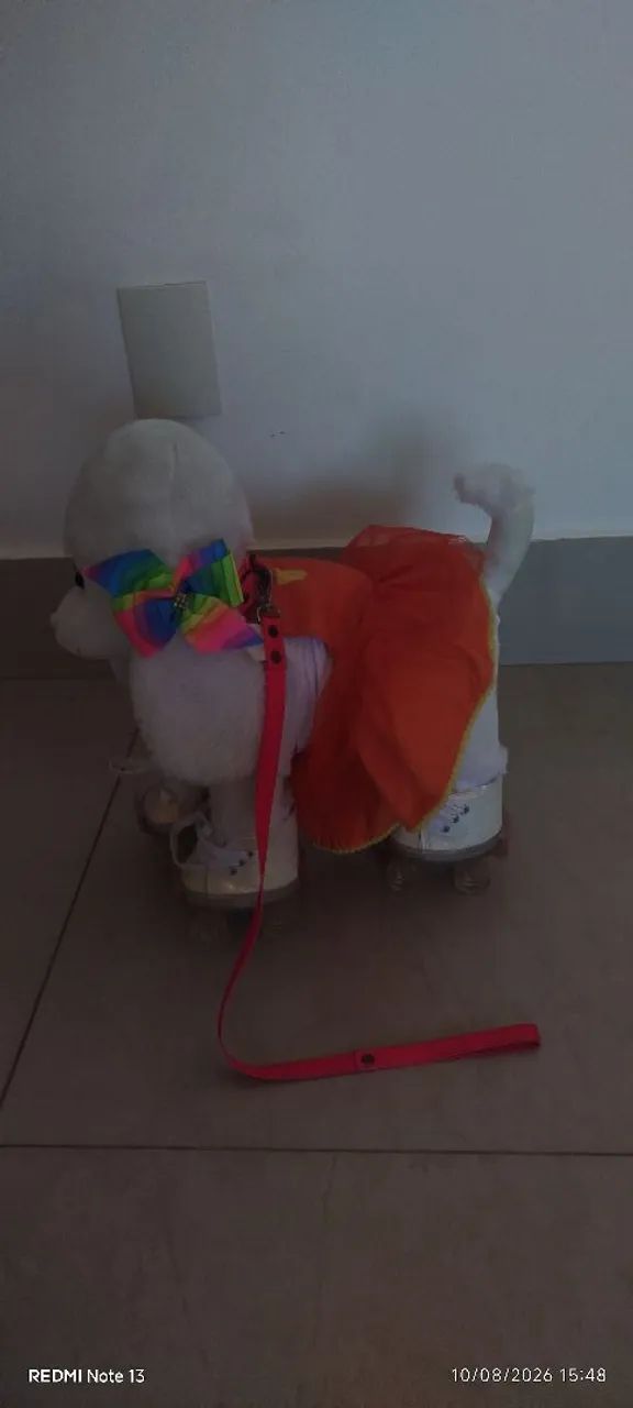 Criamigos  - Foto 2