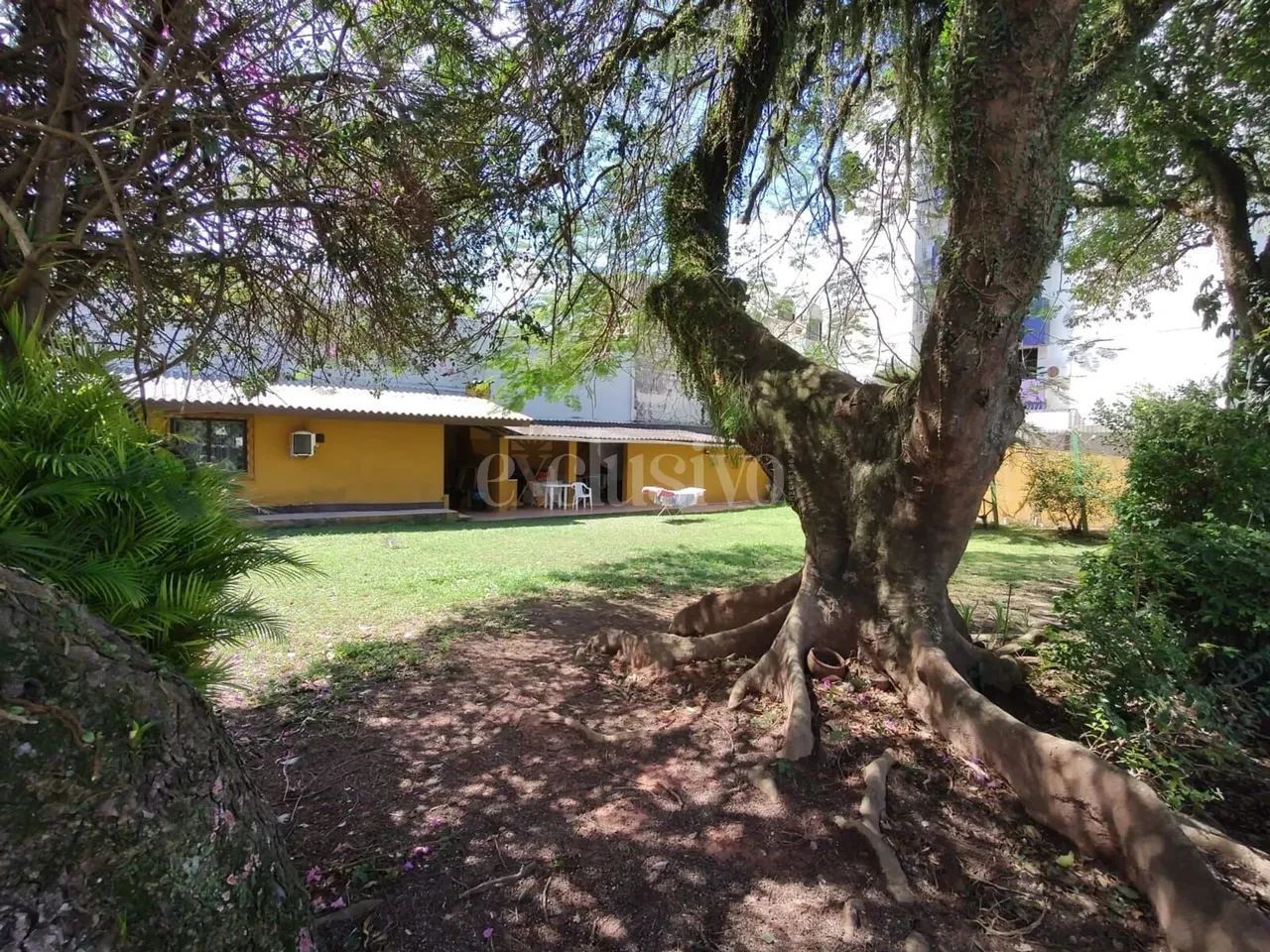 Terreno em Coqueiros - Foto 5