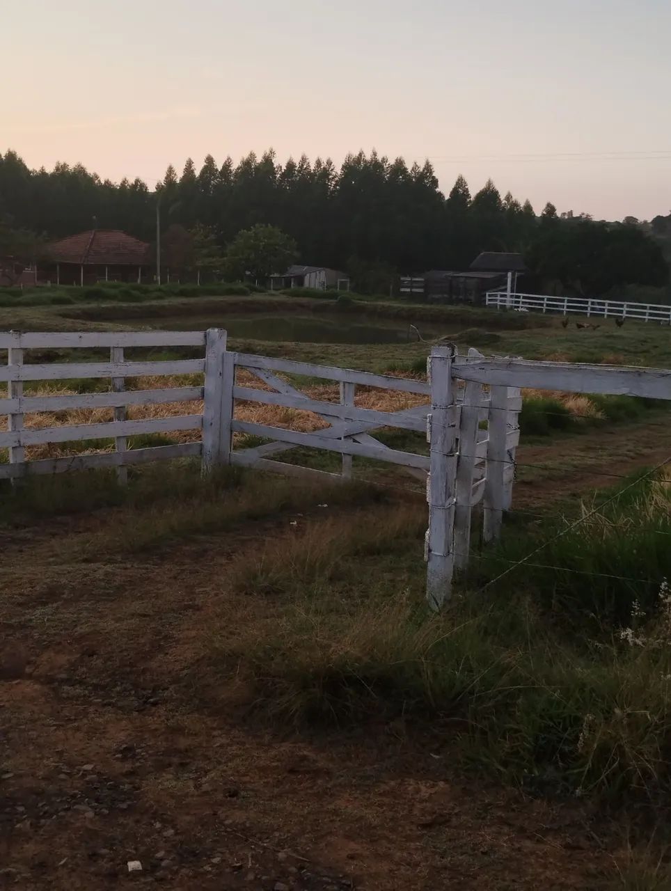 Chácara  - Foto 2