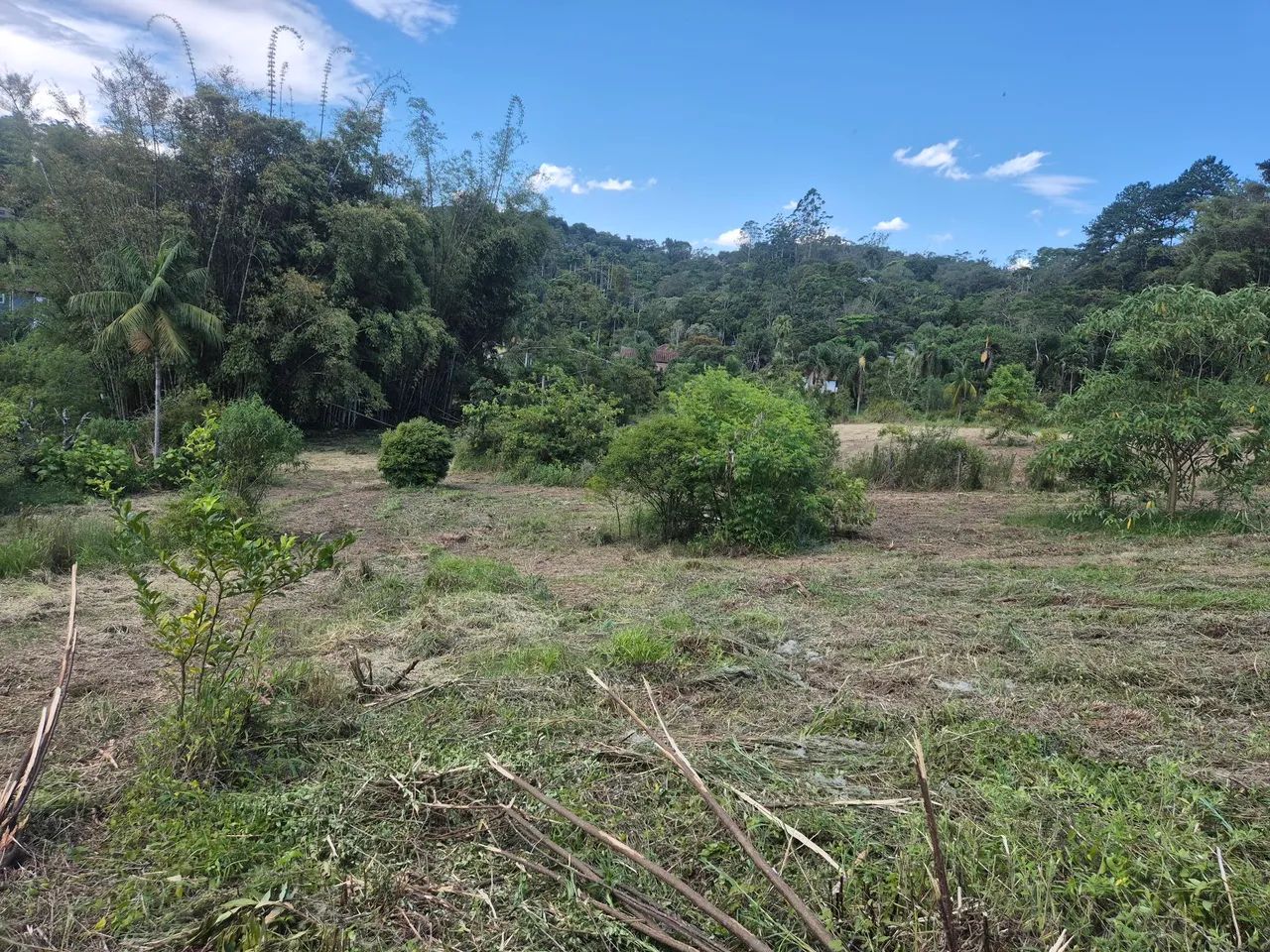 Lotes e sítios regularizados Vila Moraes Mogi das Cruzes - Foto 4