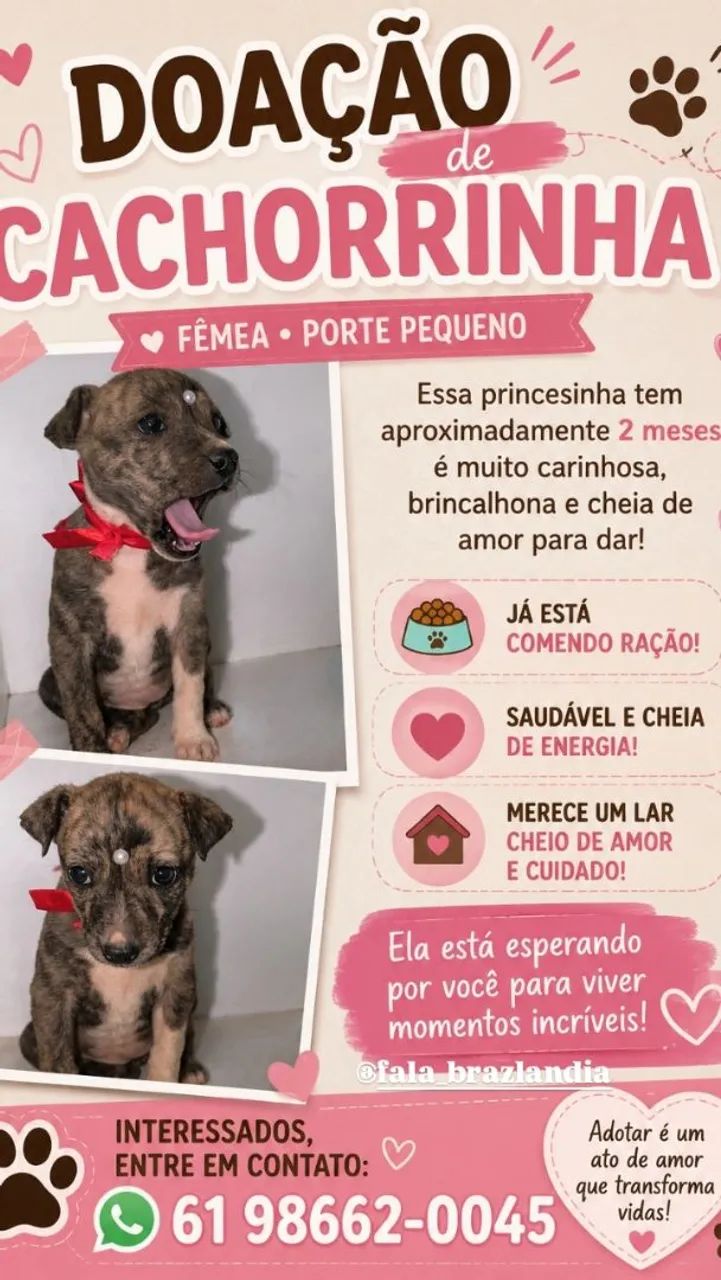 DOAÇÃO 