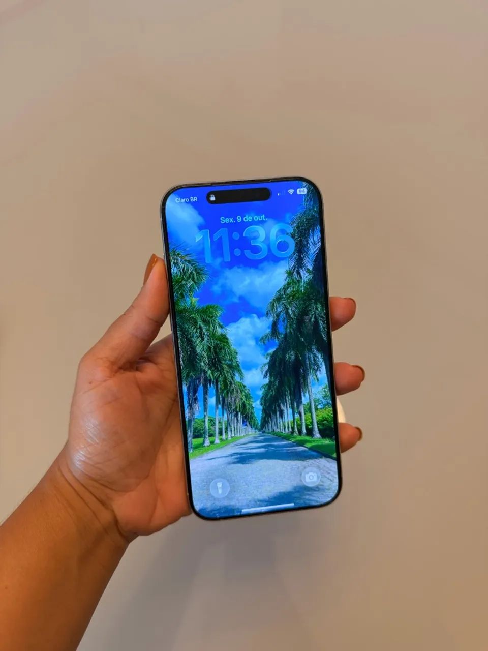 IPHONE 16 PRO MAX 256GB 