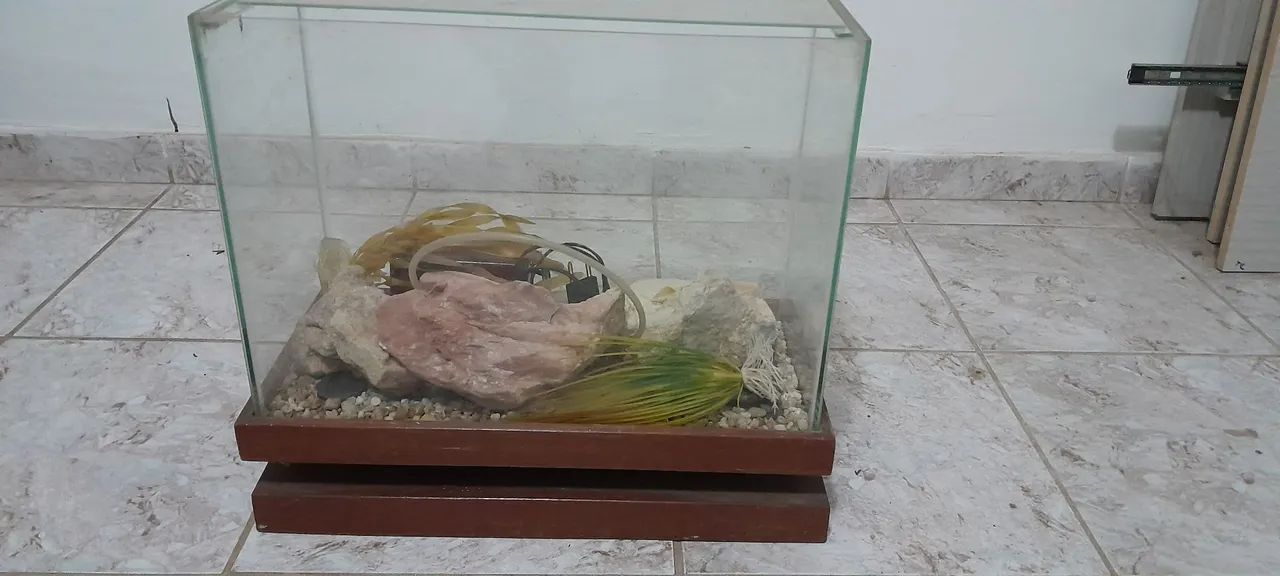 Aquário 24 litros - Foto 2