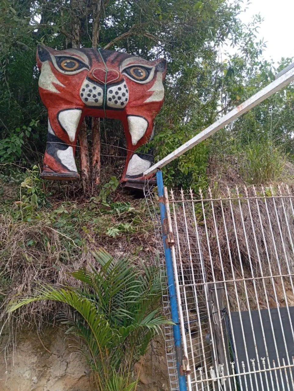 Sítio para Venda em Salesópolis - Foto 3