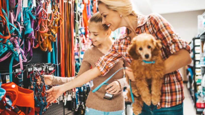 Pet Shop com Estoque Incluso à Venda em JF