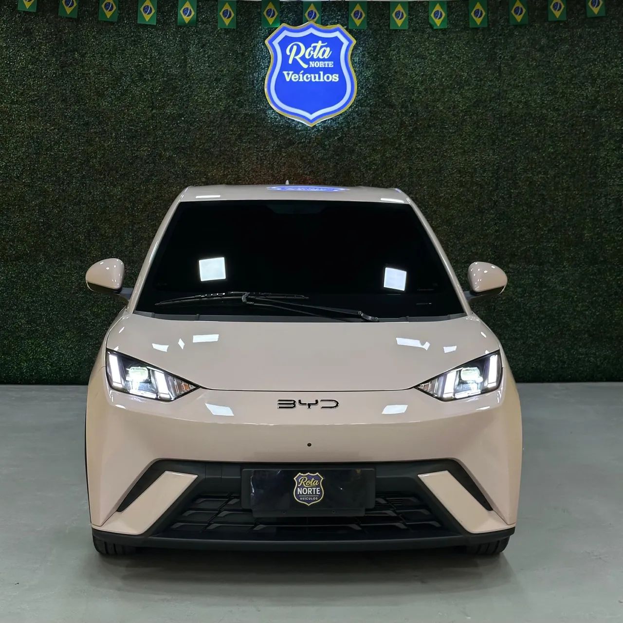 BYD Dolphin Mini (Elétrico) 2025 - Foto 4