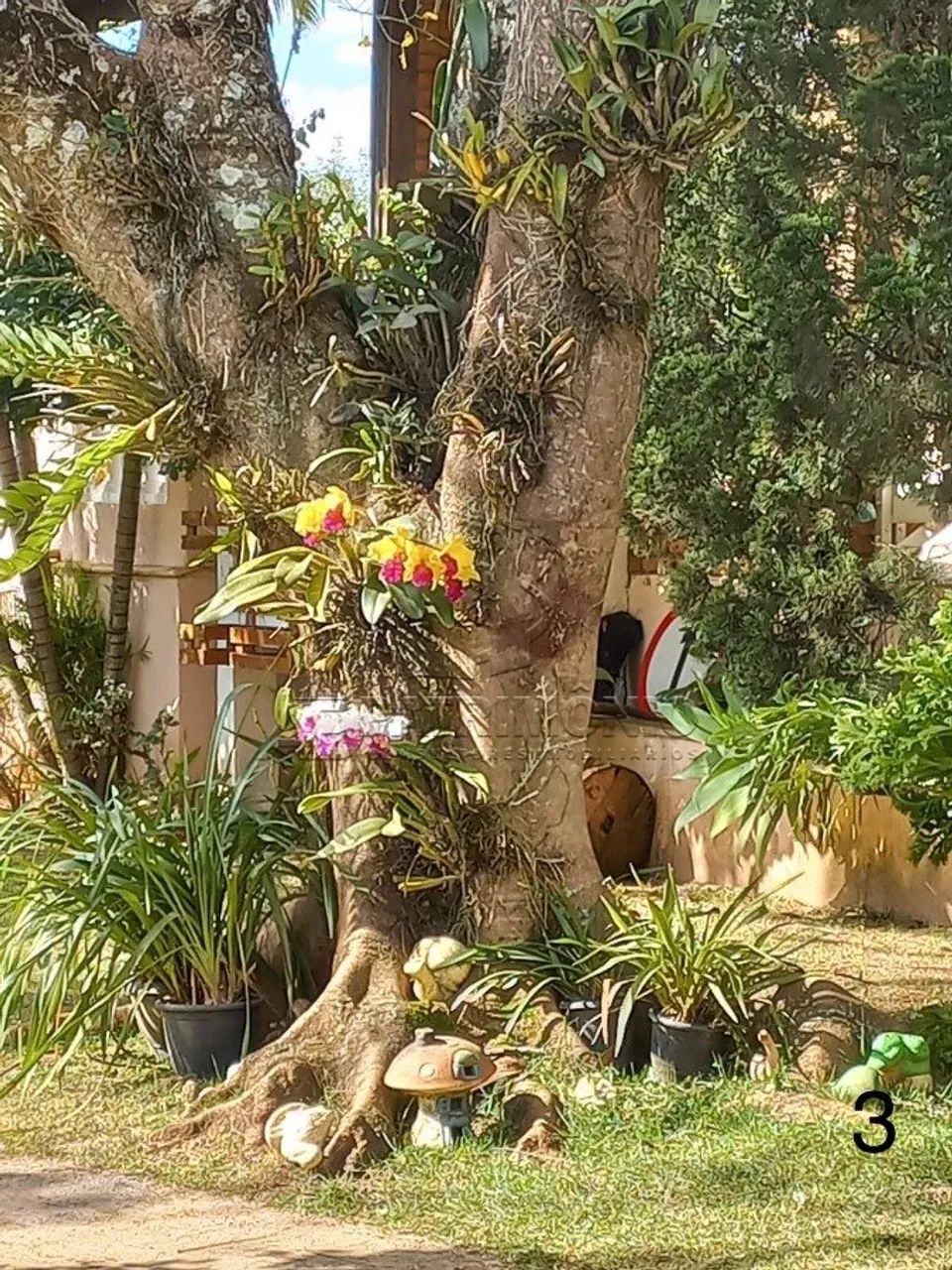 CHACARA COM 3 QUARTOS - IPERÓ - Foto 2