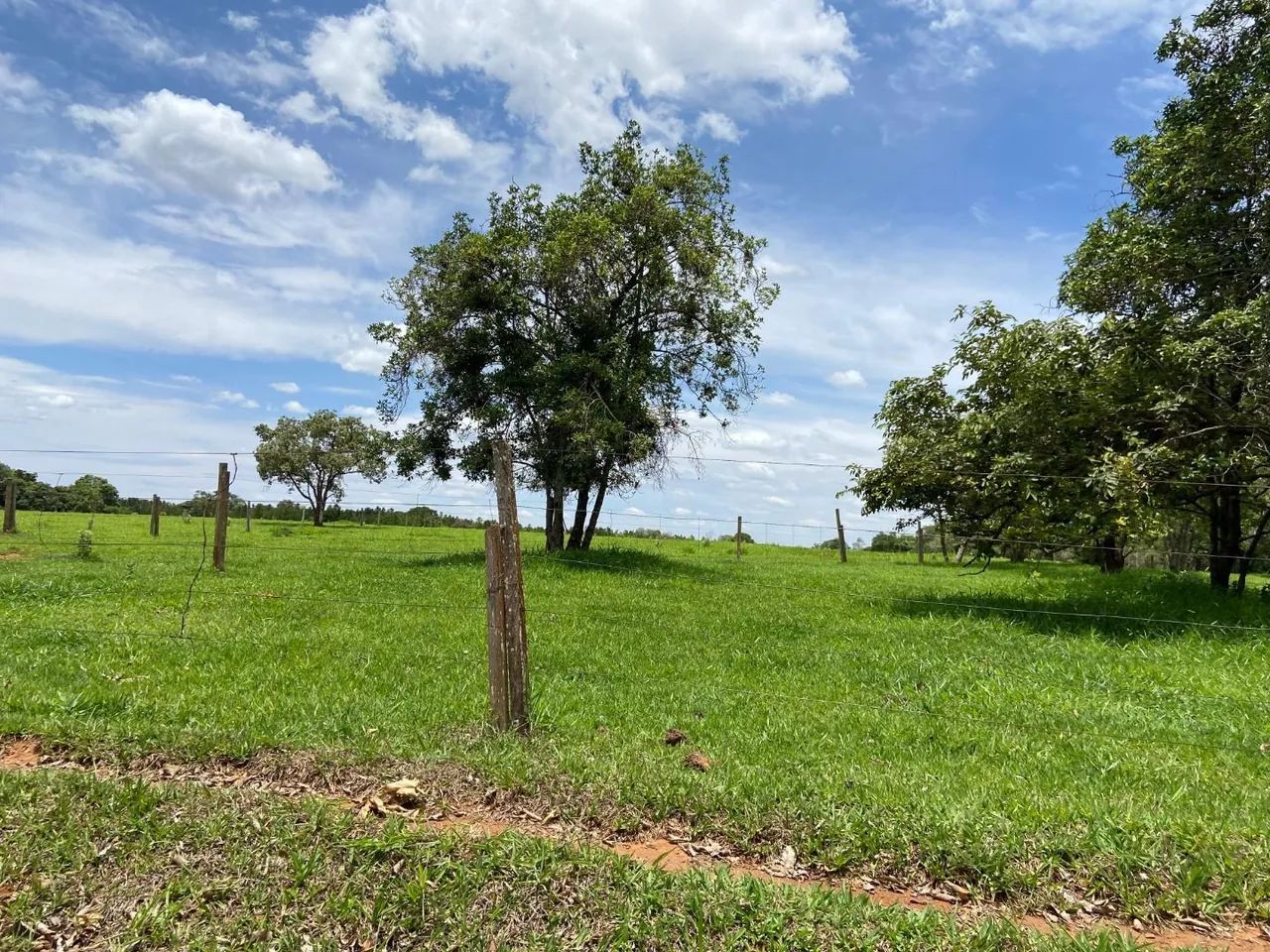 Fazenda à venda na Zona Rural - Foto 5