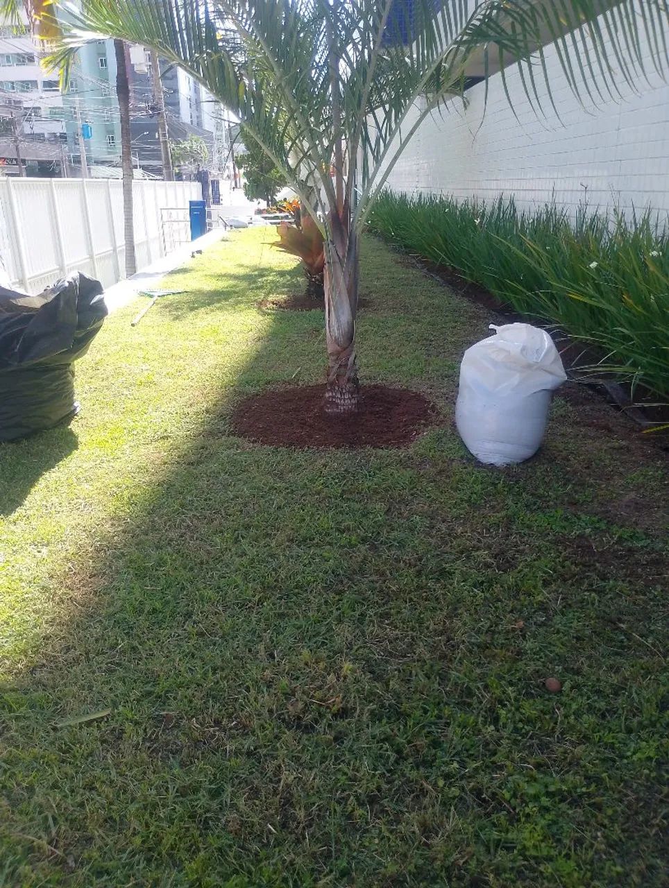 Jardineiro e payasagismo  - Foto 4