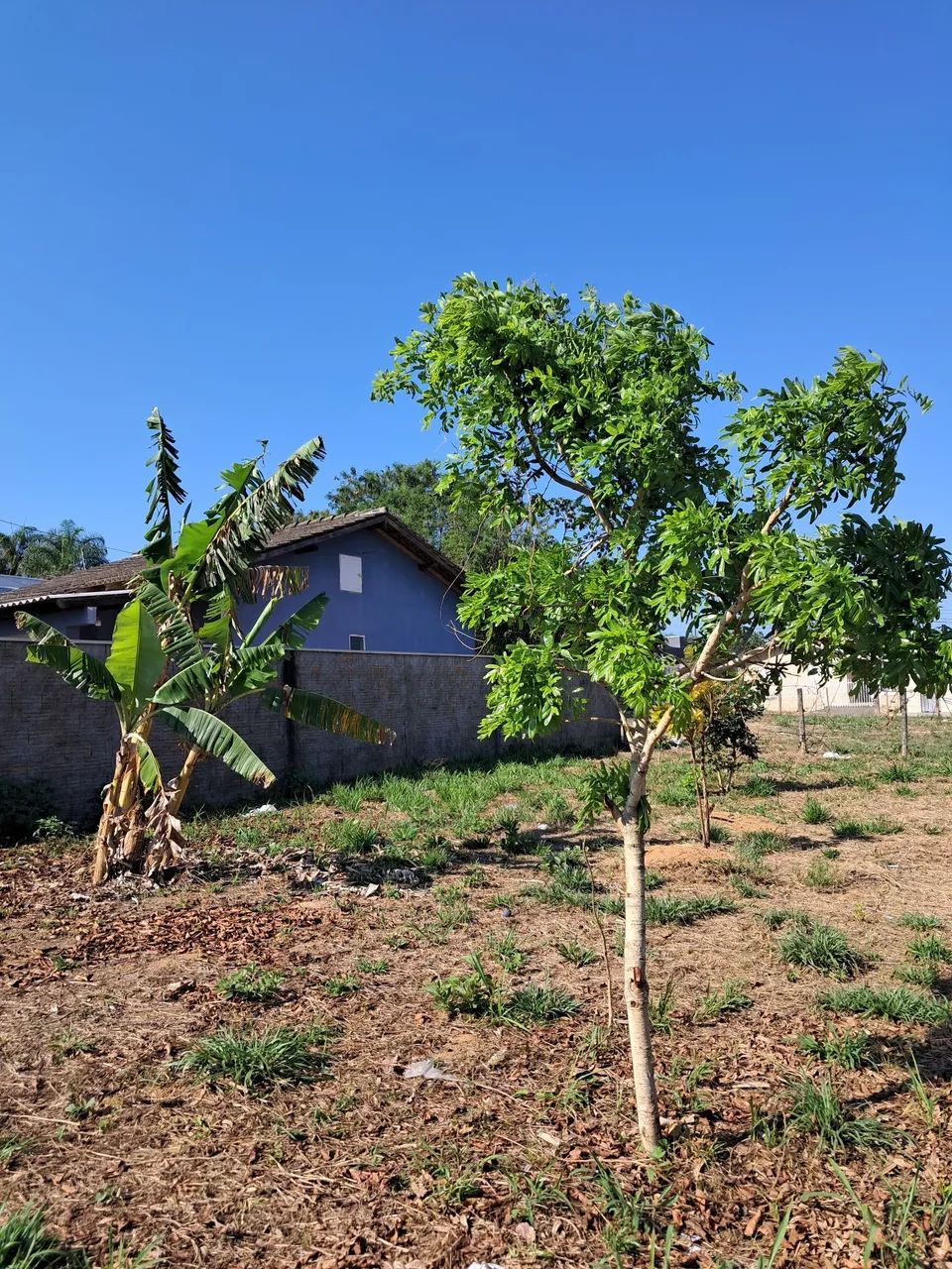 Terreno excelente em Chapada dos Guimarães, Mato Grosso - Foto 3