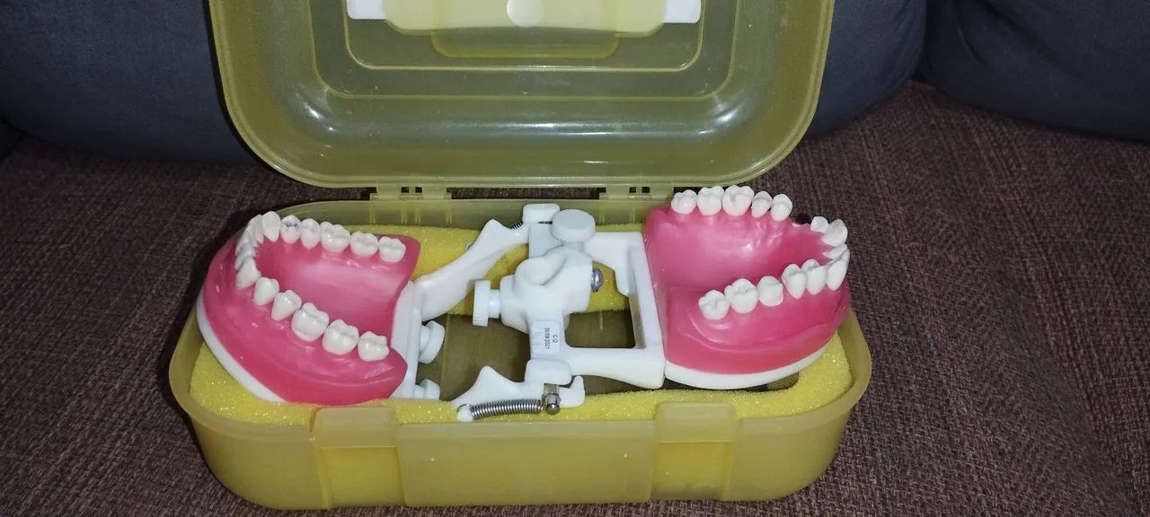 Manequim de Odonto 
