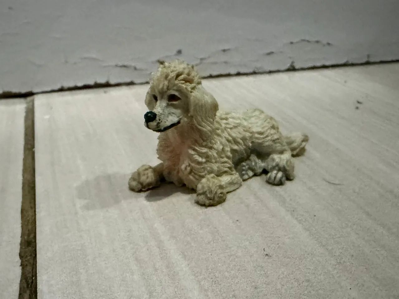 Miniatura cachorro poodle  - Foto 2