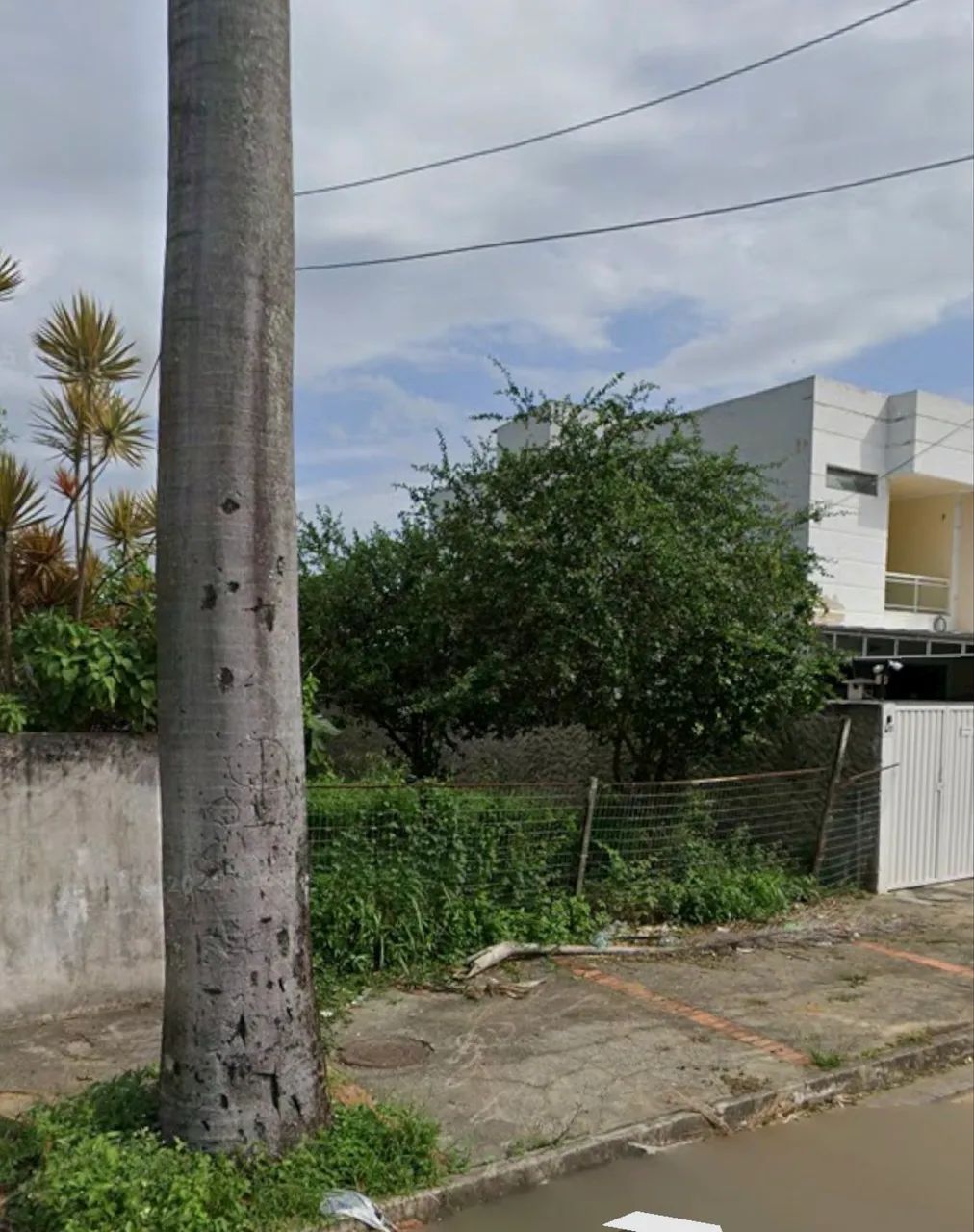 Foto - Campos dos Goytacazes - Parque Imperial