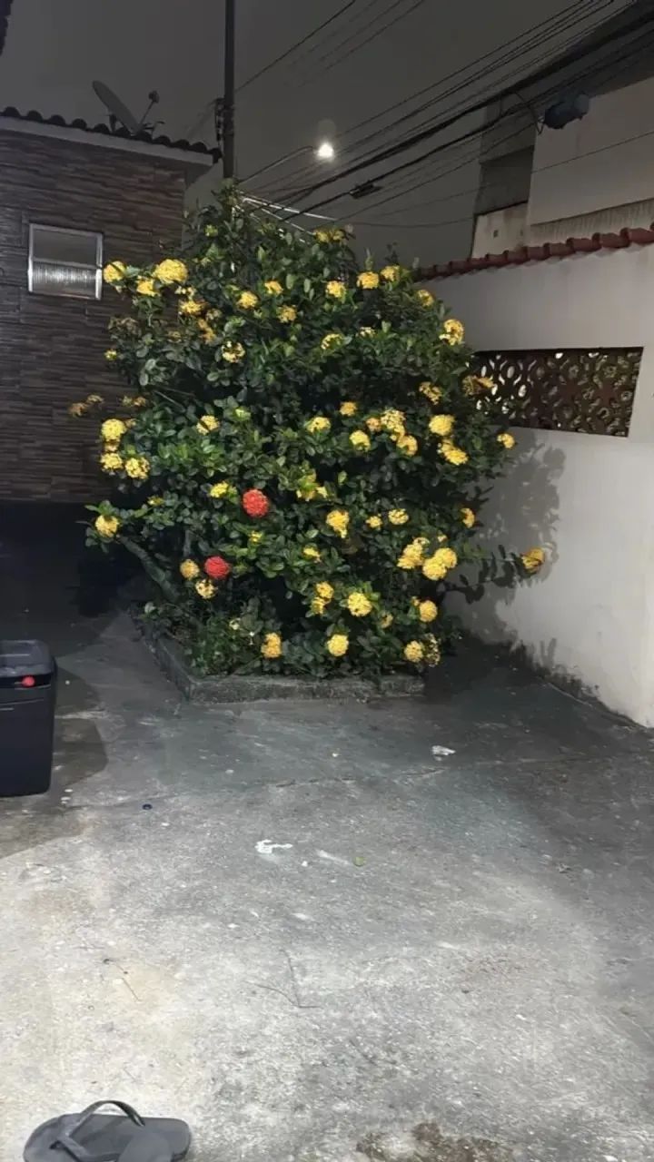 CASA COM 3 QUARTOS EM PARADA DE LUCAS - ACEITO ENTRADA - Foto 5