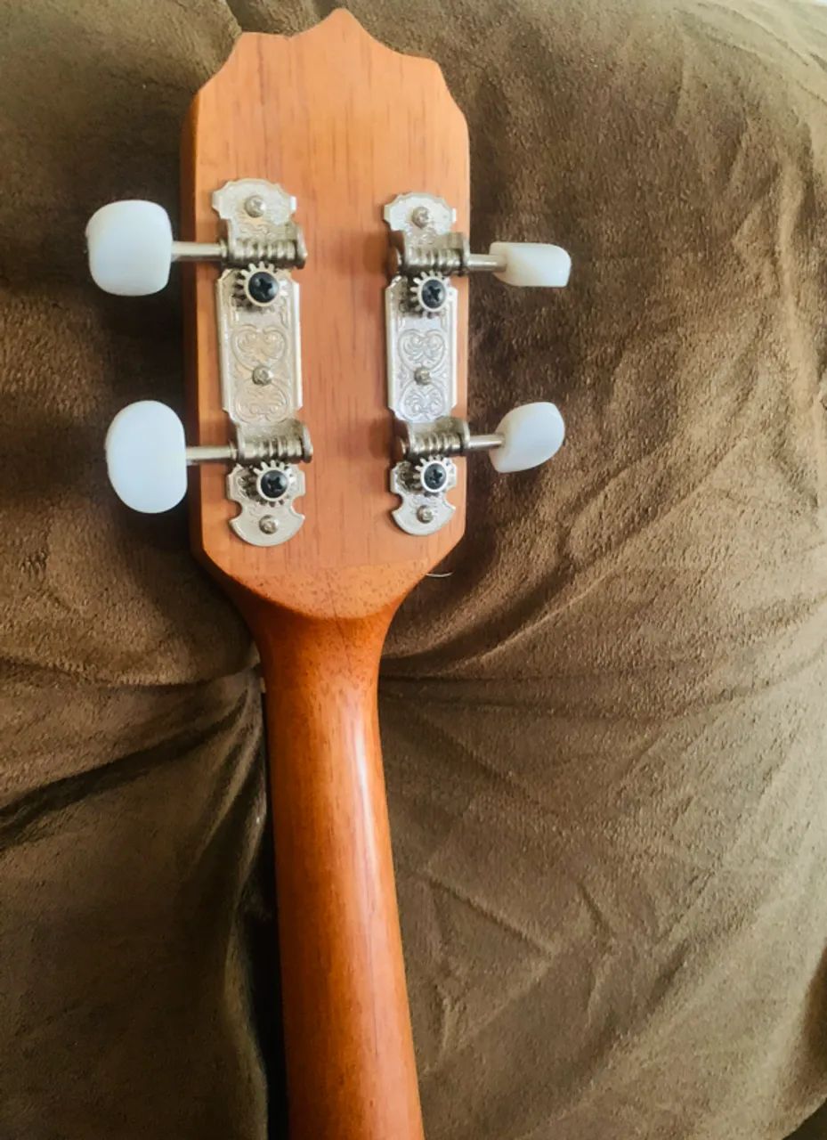 Cavaquinho Rozini Elétrico + Capa - Foto 2