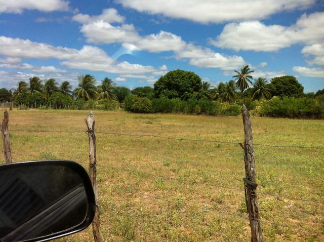 Fazenda Irrigada na Beira do Rio São Francisco - Foto 17