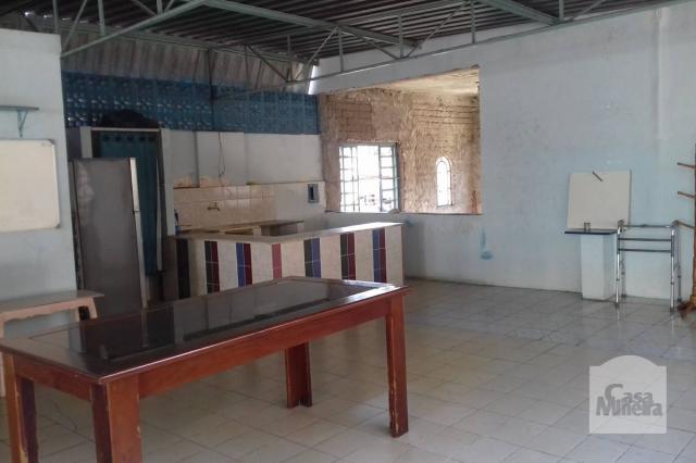 Casa à venda com 3 dormitórios em Carlos prates, Belo horizonte cod:231056 - Foto 13