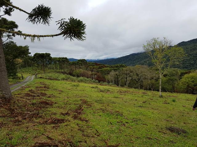Sítio em Urubici/chácara em Urubici - Foto 3
