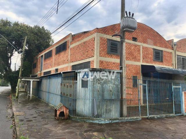 Pavilhão à venda, 490 m² por r$ 586.000,00 - guarani - novo hamburgo/rs - Foto 2