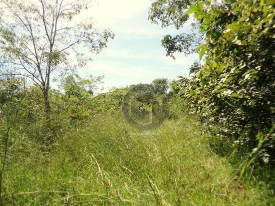 Fazenda 100 ha em acorizal