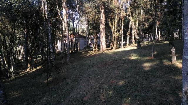 Chácara a venda adiante do Caminho do Vinho - Foto 9