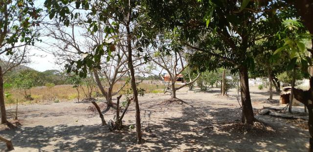 Chácara Quintas Bocaina Águas Lindas de Goias - Foto 11