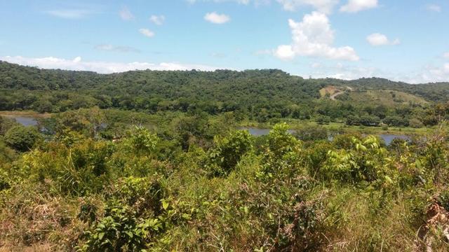 Fazenda na Rodovia BA 001 - Itacaré/Camamu - Foto 2