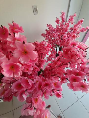Decoração - Foto 3