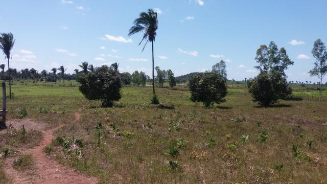 Fazenda na BR 135 - Foto 12