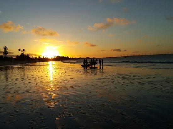 Vendo Área na beira mar da Praia de Pititinga - Foto 6