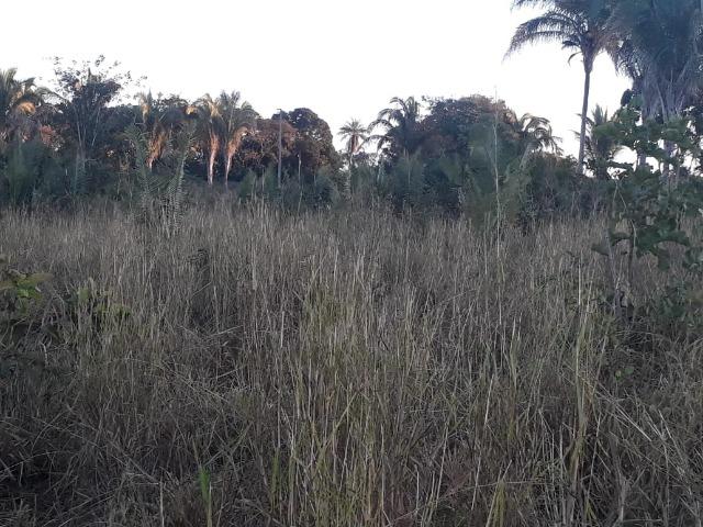 Chácara de 38,2 hectares, ha 66 km de Cuiabá, em Acorizal ! - Foto 2