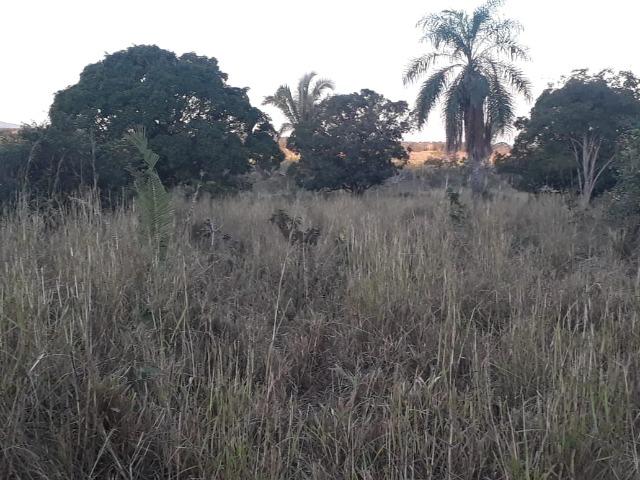 Chácara de 38,2 hectares, ha 66 km de Cuiabá, em Acorizal ! - Foto 3