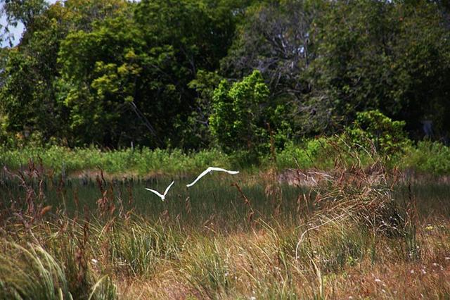 Vendo Área na Lagoa do Urubu - Nísia Floresta - RN