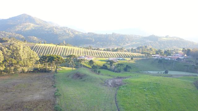 Terreno com vista em Urubici ao lado do Morro da Igreja terreno/lote/área - Foto 5