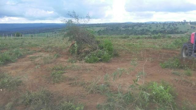 Vendo fazenda de Pecuária com 1.720 hectáres - Foto 19